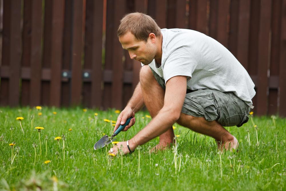 Spring Lawn Care Tips Direct Energy Regulated Services